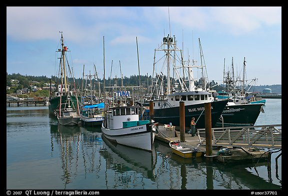 Commercial fishing boats. Newport, Oregon, USA (color)