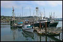 Commercial fishing boats. Newport, Oregon, USA (color)