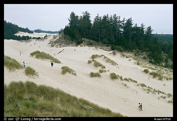 Dunes and hikers, Oregon Dunes National Recreation Area. Oregon, USA