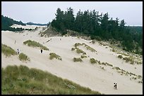 Dunes and hikers, Oregon Dunes National Recreation Area. Oregon, USA