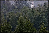 Spruce-Hemlock forest and Umpqua River Lighthouse. Oregon, USA