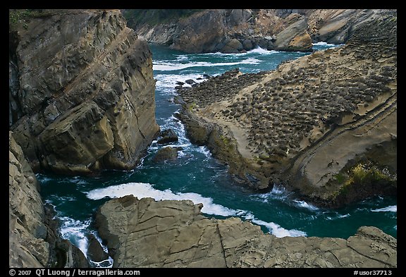 Cliffs and slabs, Shore Acres. Oregon, USA