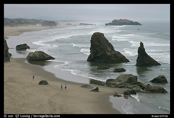 Beach and rock needles. Bandon, Oregon, USA (color)