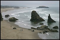 Beach and rock needles. Bandon, Oregon, USA (color)