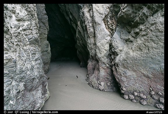 Entrance to sea cave. Bandon, Oregon, USA (color)