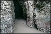 Entrance to sea cave. Bandon, Oregon, USA (color)