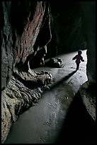 Infant walking out of sea cave. Bandon, Oregon, USA ( color)