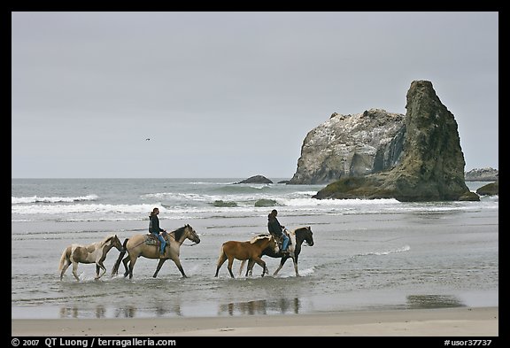 Women ridding horses on beach. Bandon, Oregon, USA