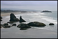 Sea stacks at Face Rock. Bandon, Oregon, USA (color)