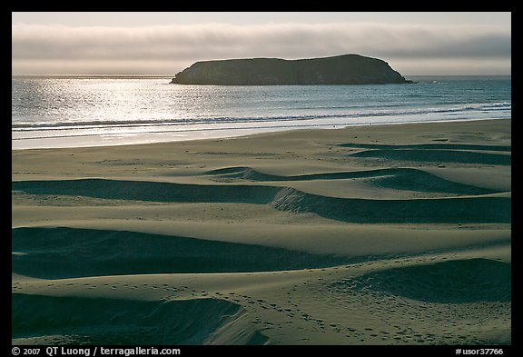 Sand dunes and island, Pistol River State Park. Oregon, USA (color)