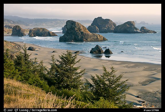 Seastacks and beach, Pistol River State Park. Oregon, USA (color)
