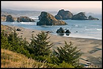 Seastacks and beach, Pistol River State Park. Oregon, USA (color)