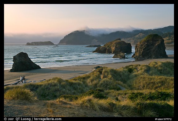 Grasses, beach and seastacks, late afternoon, Pistol River State Park. Oregon, USA (color)