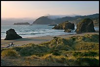 Grasses, beach and seastacks, late afternoon, Pistol River State Park. Oregon, USA