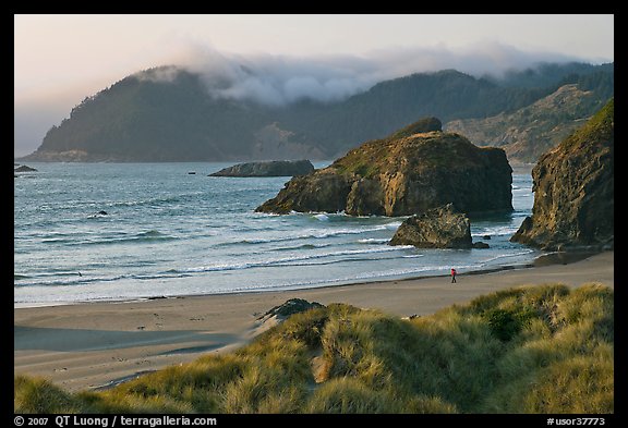 Solitary figure on beach, Pistol River State Park. Oregon, USA