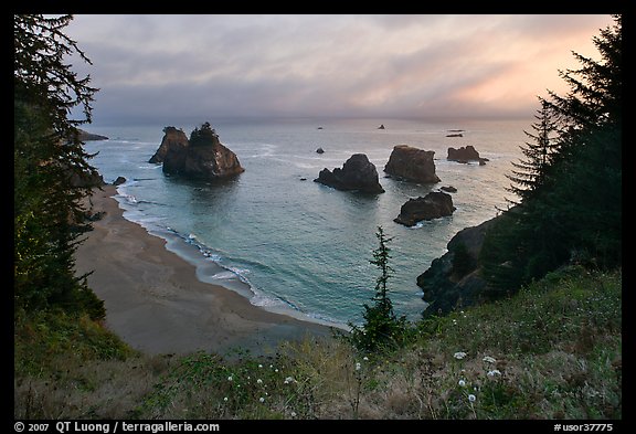 Coastline at sunset, Samuel Boardman State Park. Oregon, USA