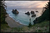 Coastline at sunset, Samuel Boardman State Park. Oregon, USA