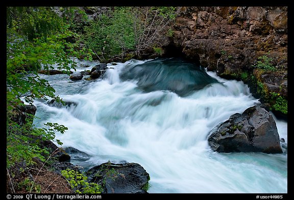 Water flowing from under lava tube. Oregon, USA