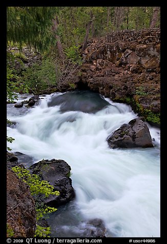 Water flowing from under basalt tube. Oregon, USA