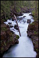 Rogue Gorge. Oregon, USA