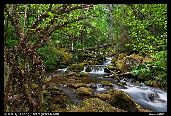 Watson Creek. Oregon, USA (color)