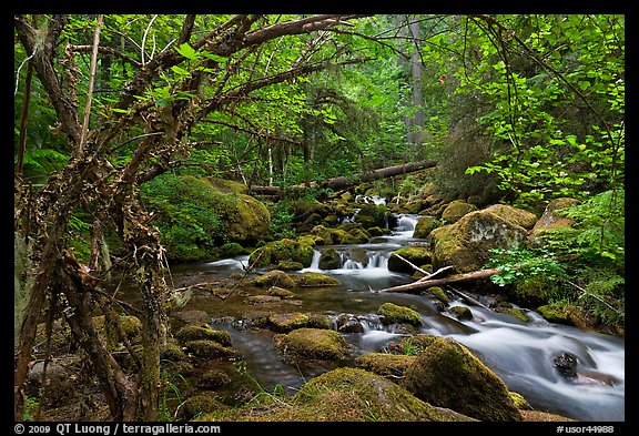 Watson Creek. Oregon, USA