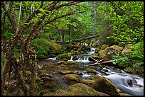 Watson Creek. Oregon, USA ( color)