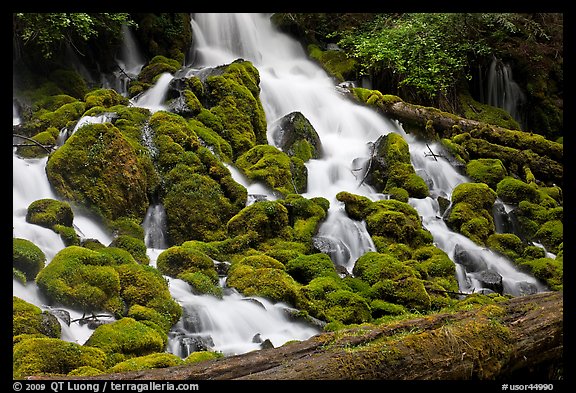Mossy rocks and stream, North Umpqua river. Oregon, USA (color)