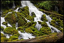 Mossy rocks and stream, North Umpqua river. Oregon, USA (color)