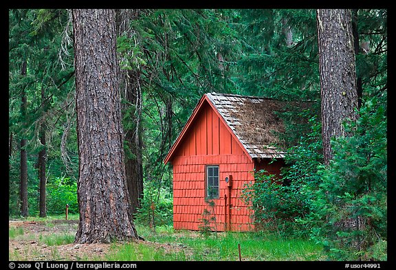 Union Creek red cabin in forest. Oregon, USA