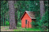 Union Creek red cabin in forest. Oregon, USA