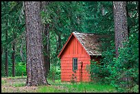 Union Creek red cabin in forest. Oregon, USA (color)