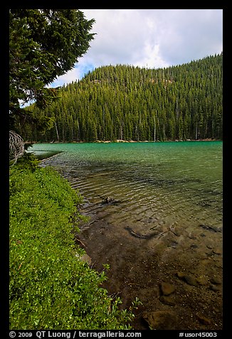 Clear emerald waters, Devils Lake. Oregon, USA