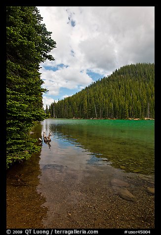 Devils Lake and forested hill. Oregon, USA (color)