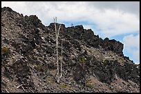 Lava outcrop, Deschutes National Forest. Oregon, USA ( color)