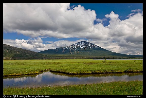 Meadow and South Sister in early summer. Oregon, USA (color)