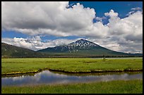 Meadow and South Sister in early summer. Oregon, USA