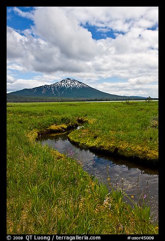 Stream, meadow, and South Sister, Deschutes National Forest. Oregon, USA