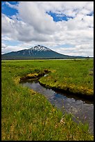 Stream, meadow, and South Sister, Deschutes National Forest. Oregon, USA