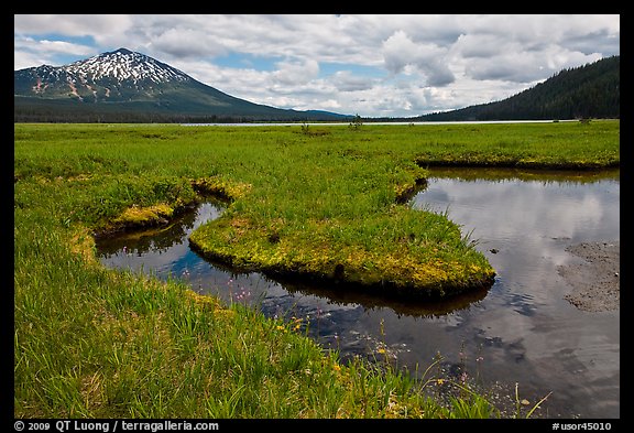 Meadow, South Sister, Deschutes National Forest. Oregon, USA (color)