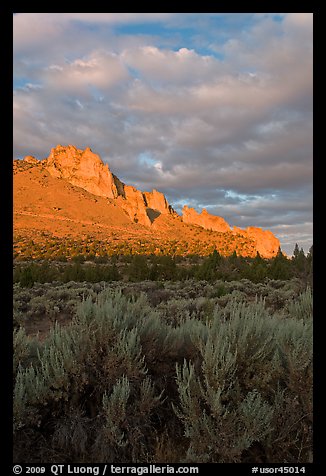 Sagebrush and ridge at sunset. Smith Rock State Park, Oregon, USA (color)