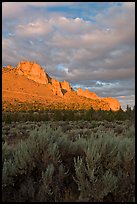 Sagebrush and ridge at sunset. Smith Rock State Park, Oregon, USA ( color)