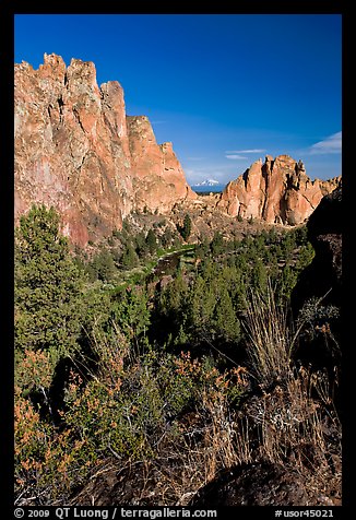 River valley and cliffs. Smith Rock State Park, Oregon, USA