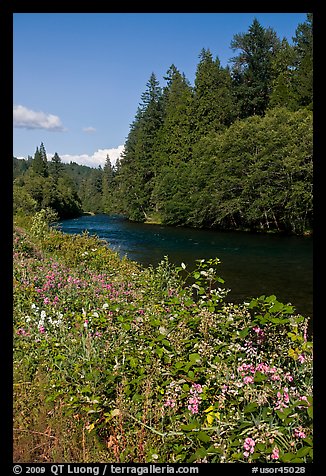 McKenzie River. Oregon, USA (color)