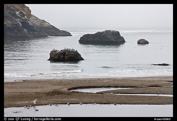 Pool and rocks, Harris Beach State Park. Oregon, USA