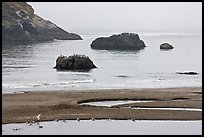 Pool and rocks, Harris Beach State Park. Oregon, USA ( color)