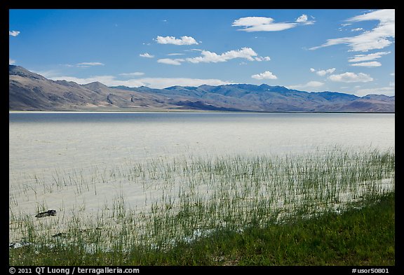 Alkaline lake. Oregon, USA