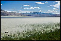 Alkaline lake. Oregon, USA