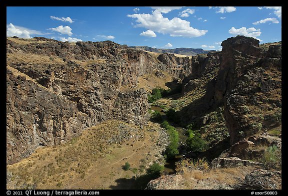 Succor Creek canyon. Oregon, USA