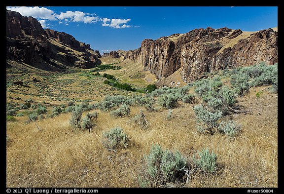 Succor Creek State Park. Oregon, USA